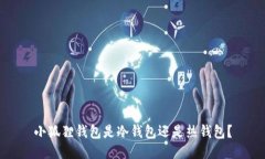 小狐狸钱包是冷钱包还是热钱包？